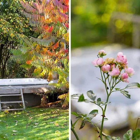 Fy381-svendborg-grastenvej-218 Tatil Evi Svendborg