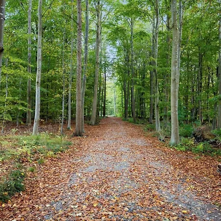 Fy381-svendborg-grastenvej-218 Vakantiehuis Svendborg